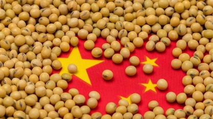 China mostra chegada de soja brasileira e diz que não precisa dos EUA