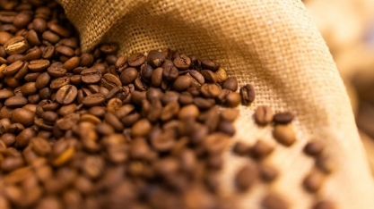 Café sobe 3,5% em Nova York com mercado esperando menor oferta do grão