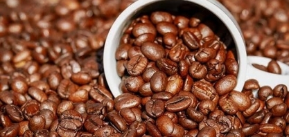 Tarifaço dos EUA segue pressionando agrícolas em Nova York