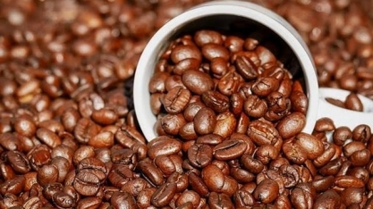 Tarifaço dos EUA segue pressionando agrícolas em Nova York