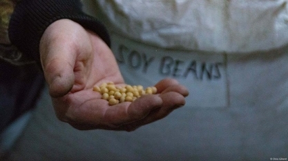 Agricultores americanos temem guerra comercial com a China