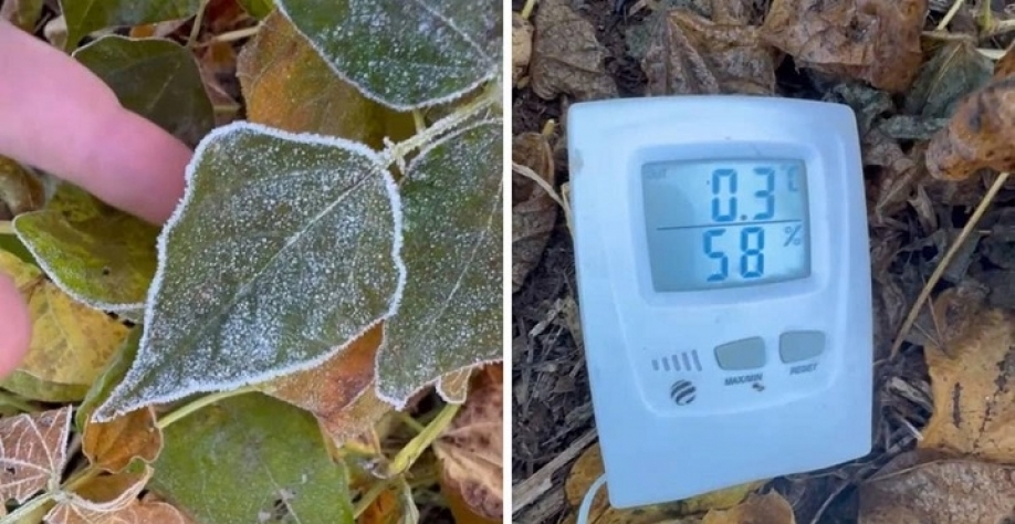 Primeira geada do ano liga alerta para produtores da região Sul