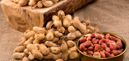 Produção de amendoim deve atingir 1,18 milhão de toneladas no Brasil