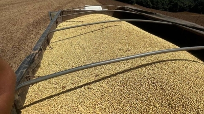 Soja avança em Chicago com cenário geopolítico favorável