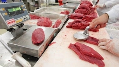 Abertura do Japão à carne bovina brasileira deve ocorrer ainda em 2025