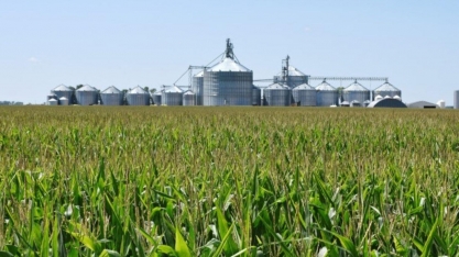 Produção de etanol de milho do Brasil deve crescer 20% em 2025/26,diz Unem