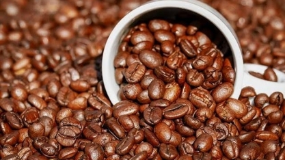 Exportações de café do Brasil caíram 28% em abril