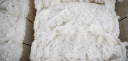 Participação do Brasil nos embarques globais de algodão é recorde