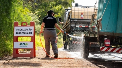 Agricultura deve pedir reforço de R$ 100 mi para combate à gripe aviária