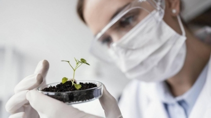 China: Ajustar regras sobre biotecnologia pode render US$ 1,5 bi por ano