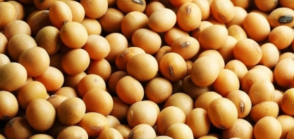 Acordo EUA-China faz preço da soja subir em Chicago