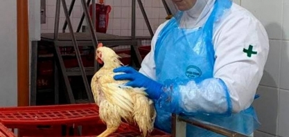 Fávaro pede apoio da bancada ruralista para criar fundo sanitário nacional