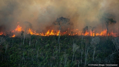 Degradação da Amazônia cresce 163% em dois anos
