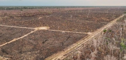 UE define que Brasil é país de 'risco padrão’ de desmatamento