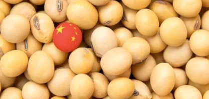 China retoma importação de soja de cinco empresas brasileiras; saiba quais
