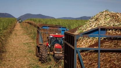Grupo da Eslováquia compra 50% de usina de cana em Minas Gerais