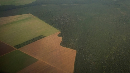 UE: Desaprovação e crítica a nova classificação de risco ao desmatamento