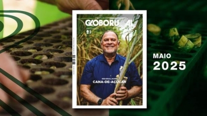 Conheça a história do Proálcool e da cana no país