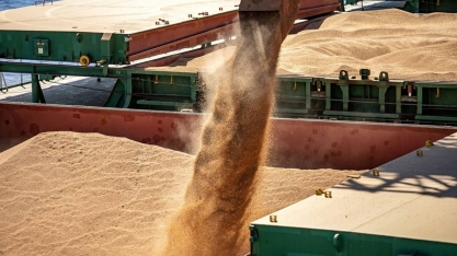 Safra recorde permitirá aumento das exportações de soja em 7,2%