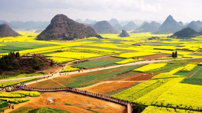 O ‘X’ do agro: Um negócio da China – Por André Passos