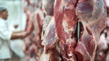 Apesar das tarifas, Brasil exporta 498% a mais de carne para EUA
