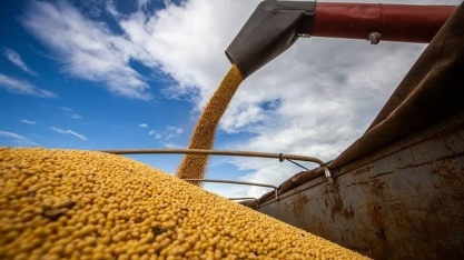 Brasil: Recorde de soja e produtividade inédita de milho inverno