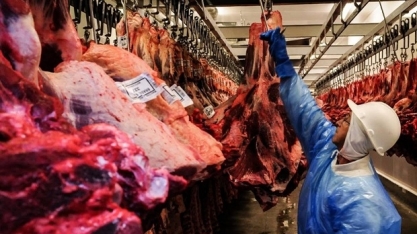 Preço da carne bovina exportada sobe com oferta restrita e guerra comercial