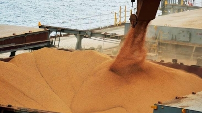 Importação de soja brasileira pela China cai 22,2% em abril ante 2024