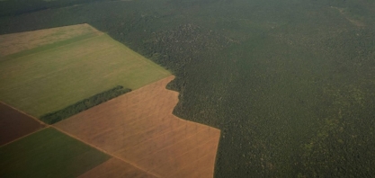 Desmatamento volta a crescer na Amazônia; alerta para locais em colapso