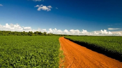 Moratória da Soja: Cade analisa medida que pode 'mudar o jogo' do acordo