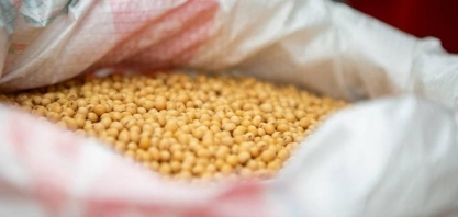 Preço da soja termina a semana com queda no mercado brasileiro