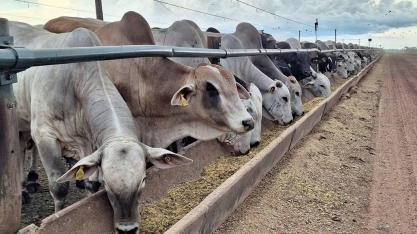 Grupo Santa Fé faz acordo para recuperação extrajudicial