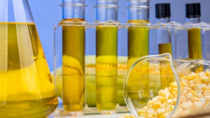 Indústria de etanol de milho deve registrar margem de até 34,7% em 25/26