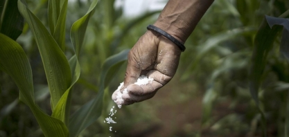 Guerra Israel x Irã: produtores de milho temem instabilidade no mercado