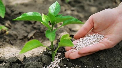 Brasil enfrenta alta dos fertilizantes em meio a conflito no Oriente Médio
