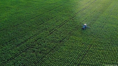 Só um país é autossuficiente para dieta saudável, diz estudo