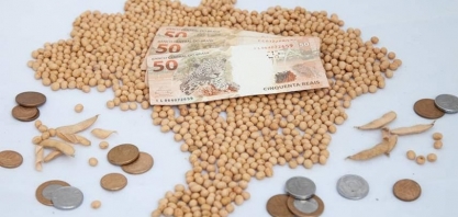Confira os preços da soja em dia de relatório do USDA