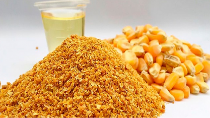 Empresa chinesa negocia importação de grãos de destilaria do Brasil