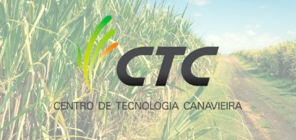 Produtividade da cana no Centro-Sul cai 12% em maio