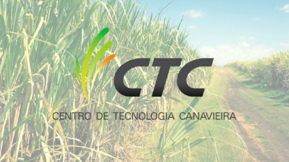 Produtividade da cana no Centro-Sul cai 12% em maio