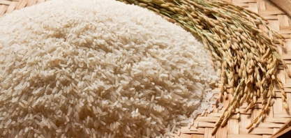 Governo vai comprar 100 mil toneladas de arroz,mas não definiu instrumento