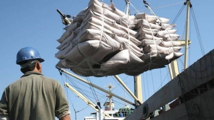 Maior produção de açúcar na Ásia derruba superávit do agro paulista em 13%