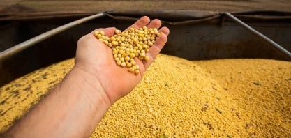 Exportações de soja dos EUA devem cair e oferta do grão aumentar