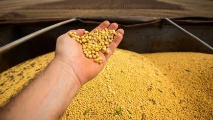 Exportações de soja dos EUA devem cair e oferta do grão aumentar