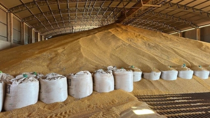 Armazenagem atende só 59% da safra no Brasil