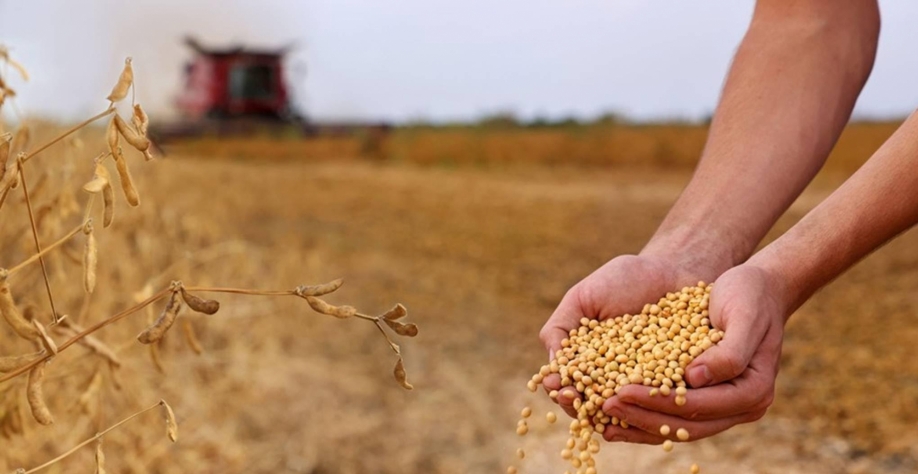 PIB da cadeia da soja e do biodiesel deve crescer 11% no Brasil neste ano