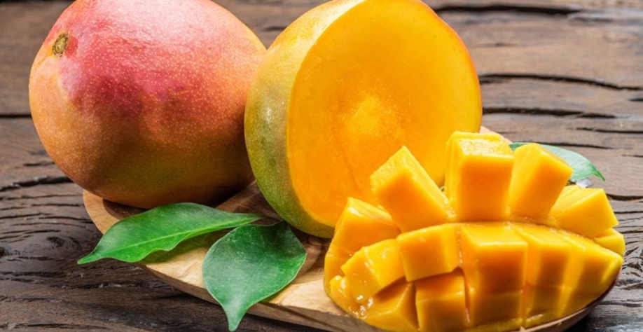 Produtores de manga já paralisam exportações para os Estados Unidos