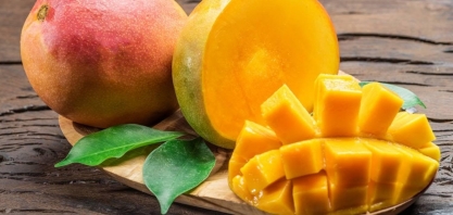 Produtores de manga já paralisam exportações para os Estados Unidos