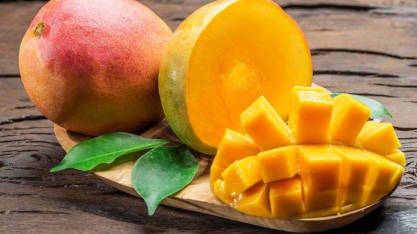 Produtores de manga já paralisam exportações para os Estados Unidos