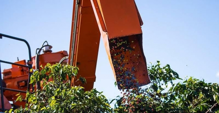 Café sobe em Nova York após ajuste técnico